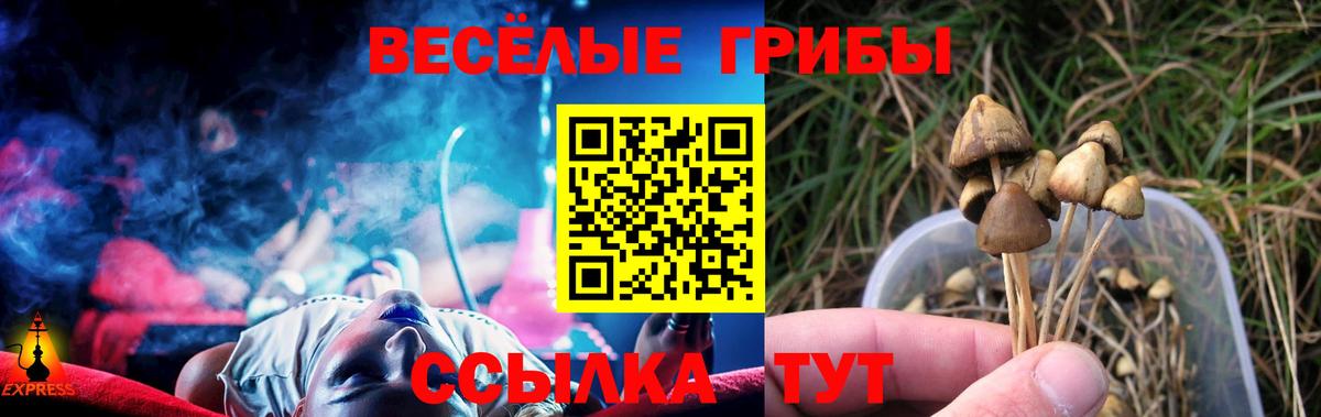 Галлюциногенные грибы MAGIC MUSHROOMS  Вход с VPN  Анапа 